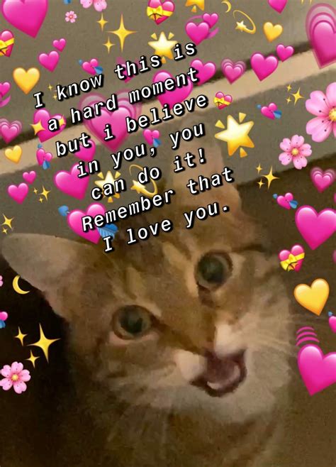 Youre Purrfect Cute Love Memes Love You Meme Wholesome Memes