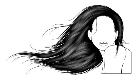 How To Vector Hair With Brushes In Adobe Illustrator Envato Tuts