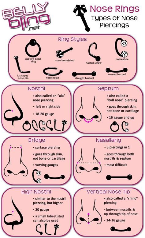 Pin By Nati Ely On Piercings And Adornments Different Types Of
