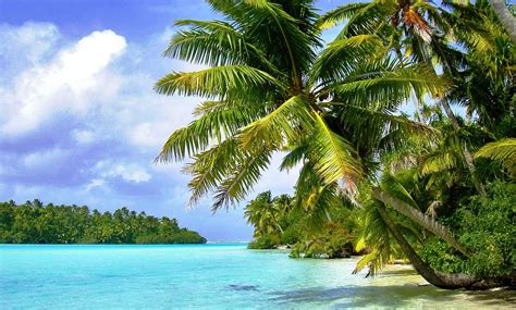Tropical Island Background Images