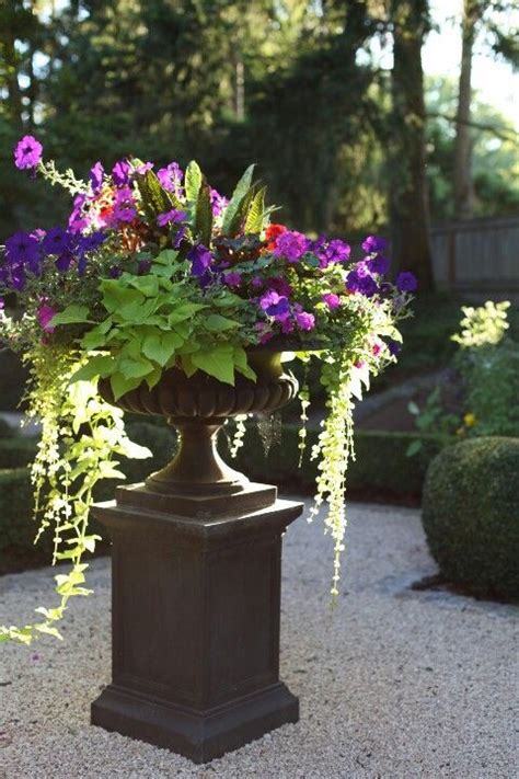 Beautiful Container Garden Idea Garden Pinterest