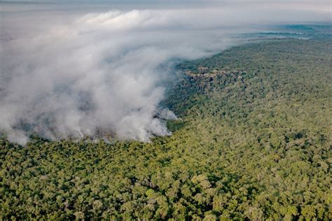 La Promesa De Bolsonaro De Proteger La Amazonía Es Recibida Con