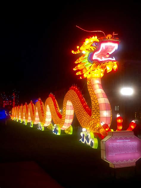 Sea Serpent Chinese Lantern At The Festival Of Lights At Longleat