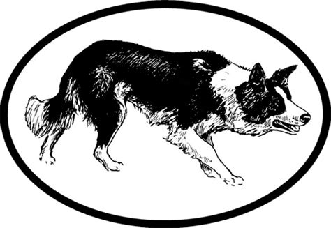 Are you looking for the best border collie clipart for your personal blogs, projects or designs, then clipartmag is the place just for you. Border Collie Outline - Cliparts.co