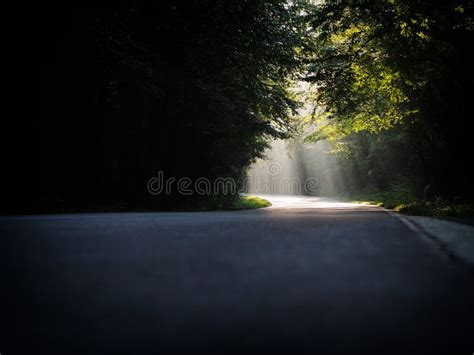 Beautiful Scenery Of A Path With Bright Sun Rays Falling Through A