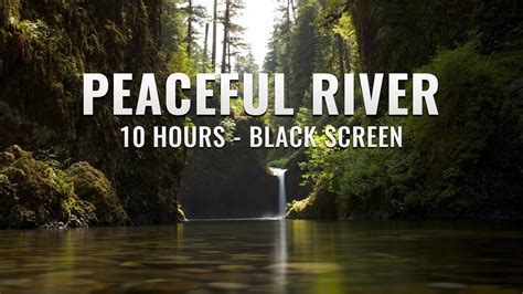 Peaceful River 10 Hours Of Relaxing River Sounds Black Screen Youtube