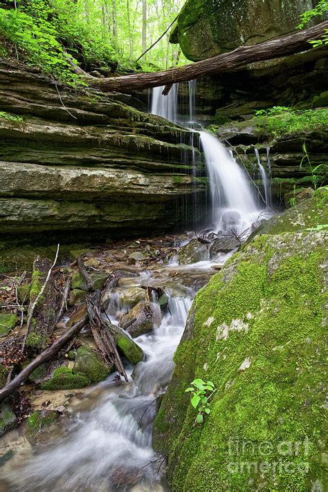 Lost Creek Falls 38 Photograph By Phil Perkins Fine Art America