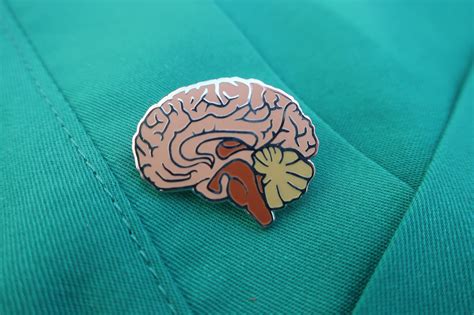 Brain Enamel Lapel Pin Ep107 Brain Stroke Medical And Etsy Uk
