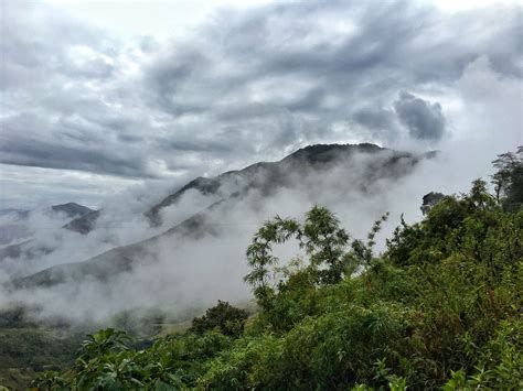 This Lush Mountain Retreat In Ecuadors Cloud Forest Is Only An Hour