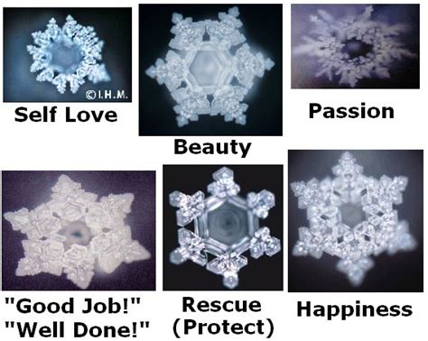 Masaru Emoto Water Crystals Power Of Positivity Masaru Emoto Crystals