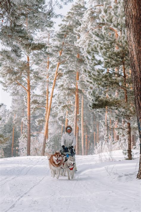 12 Of The Best Things To Do In Lapland Finland Finland Travel
