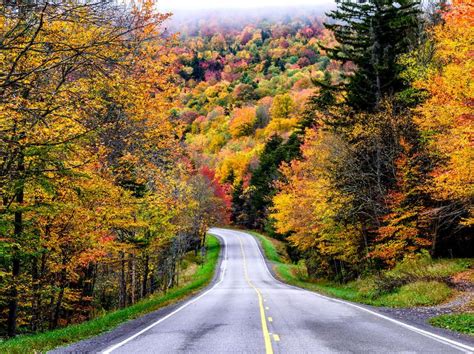 Where To See The Most Beautiful Fall Foliage In The Mid Atlantic