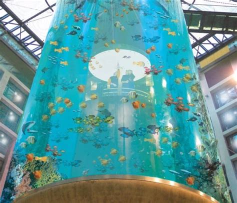 Themeparkzoo Aquadom And Sea Life Berlin Aquarium In Germany