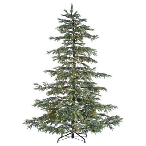 This is the most popular non shed christmas tree sold in ireland. Noble Fir Christmas Tree - Bing Images | Noble fir ...