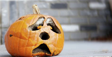 Keep Your Jack O Lantern From Becoming Moldy Maggoty Mush Before