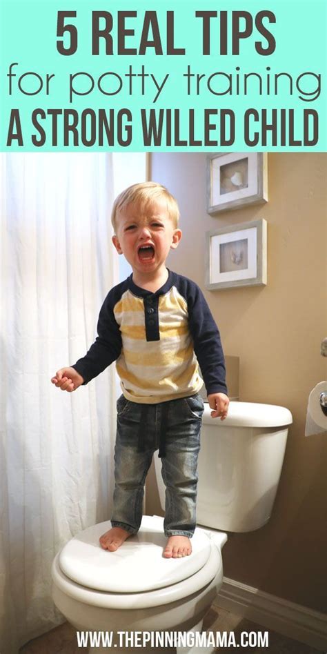 139 Best Images About Potty Training Tips On Pinterest