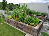 Vegetable Garden Design Photos