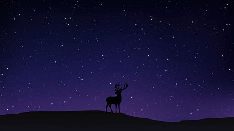 Night Sky Deer Minimal 5k Hd Artist 4k Wallpapers Images