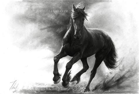 Horse gait dog breed, horse, horse, animals png. FREE 12+ Horse Drawings in AI