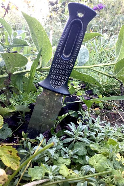 Everything Youll Need To Be A Serious Gardener