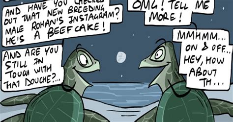 Green Humour Sea Turtle Nesting