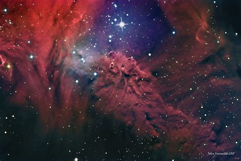 Apod 2015 December 30 The Fox Fur Nebula Nebula Astronomy
