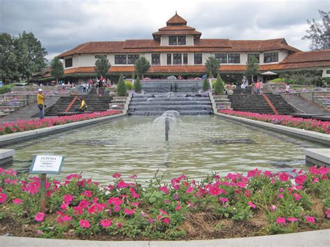 Taman bunga nusantara didirikan atas gagasan dari ibu dani bustanil arifin di tahun 1992. Taman Bunga Nusantara (Flower Garden), Cipanas - West Java ...