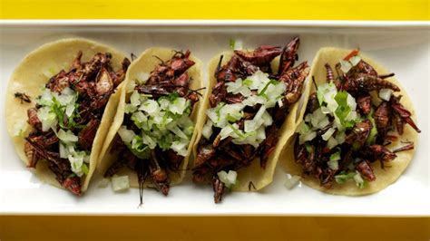 Philly Makes Room At The Table Edible Insects And Grasshopper Tacos