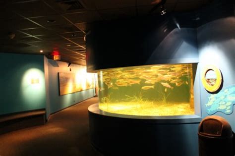 The Maritime Aquarium At Norwalk