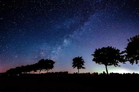 Star Milky Way Trees Shadow Silhouette Night Sky Starry Sky Sky