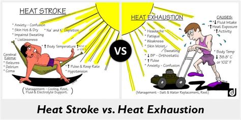 Heat Exhaustion Symptoms To Look Out For This Summer