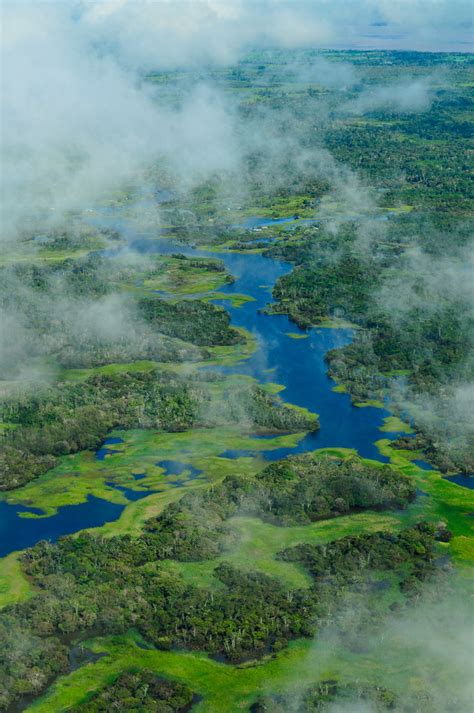 Amazon Rainforest Aerial View Of The Amazon Rainforest Ne Flickr