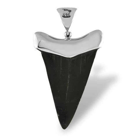 Fossil Shark Tooth Pendant In Fine Sterling Silver Starborn