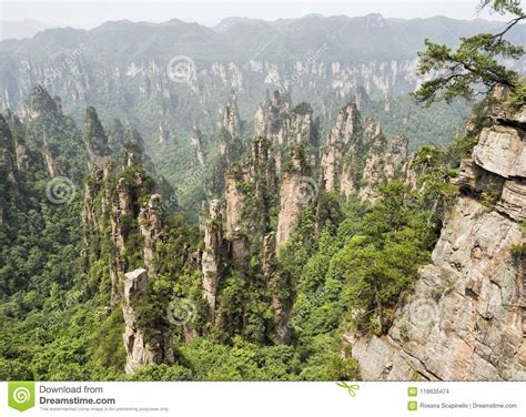 Tianzi Mountain Column Karst At Wulingyuan Scenic Area Zhangjiajie