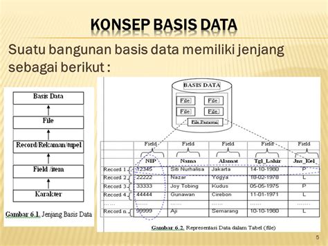 Contoh Sistem Basis Data 47 Koleksi Gambar