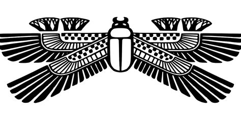 escarabajo egipcio insecto gráficos vectoriales gratis en pixabay pixabay