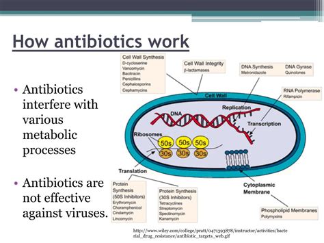 Ppt Defense Against Infectious Disease Powerpoint Presentation Free