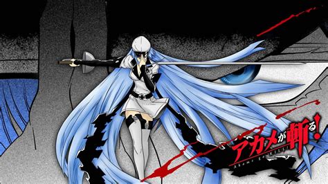 Akame Ga Kill Esdeath Wallpapers Hd Desktop And Mobile Backgrounds