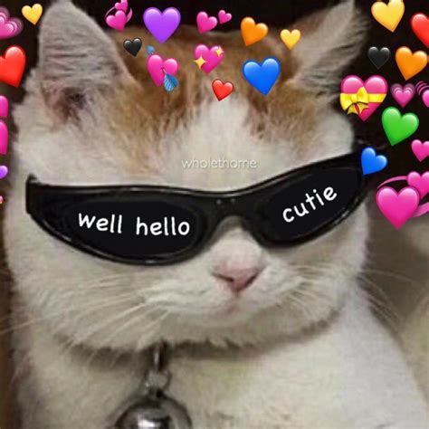 Pinterest Xxcrystalised♡ Cute Cat Memes Cute Love Memes Funny Cute Funny Memes Memes Humor