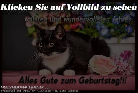 Der käuferschutz ist deine absicherung, wenn eine ware nicht ankommt, beschädigt ist oder nicht der beschreibung entspricht. Geburtstagsbilder Katze (3) | | Geburtstagsbilder