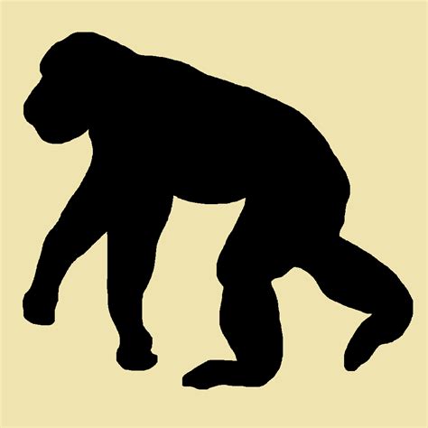 Bonobo Zeraoverse Wiki Fandom