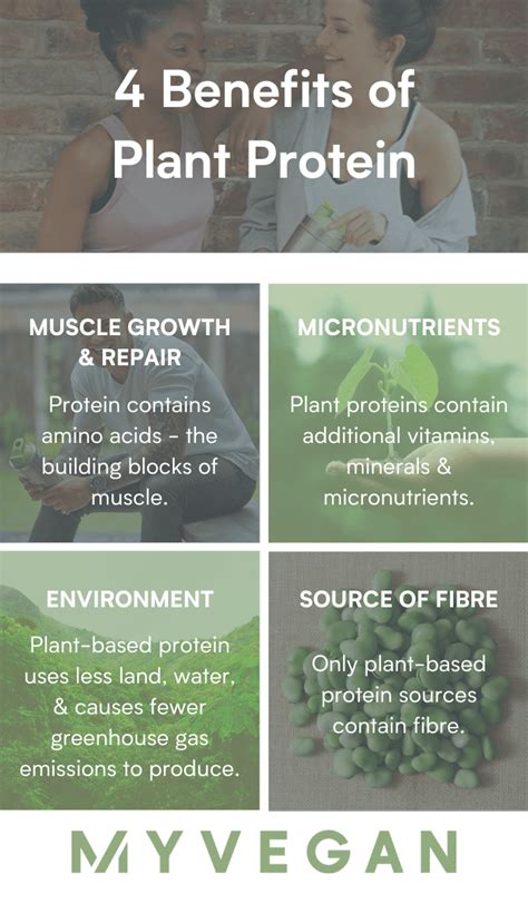 4 Amazing Benefits Of Plant Based Protein Myvegan