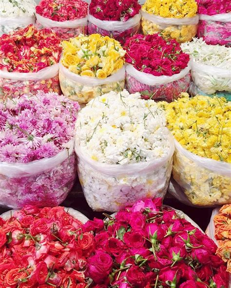 Flower Markets In India Are Kind Of The Best 🌺 Bangalore India