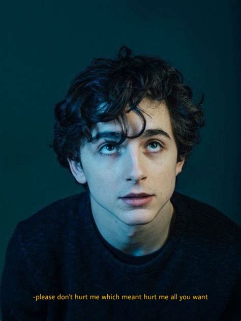 Elio Call Me By Your Name Timothee Chalamet Portrait Pretty People