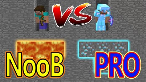 Noob Vs Pro