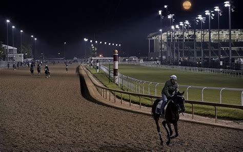 Kentucky Derby Trainer Suspended After Horse Deaths World