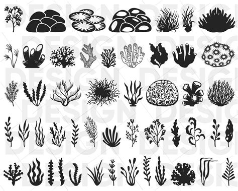 45 Corals Svg Bundle Coral Silhouette Coral Png Coral Etsy