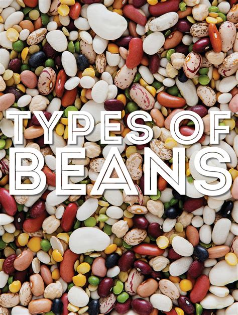 the healthiest beans and legumes you can eat 59 off