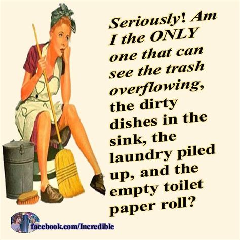 Seriously Cleaning Quotes Funny Cleaning Quotes Funny Quotes