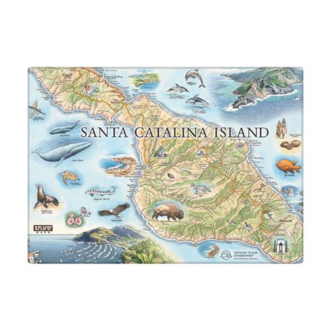 Santa Catalina Island Map Art Magnets Hand Drawn Illustrated Map Of